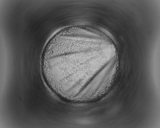 X0000083571047200703021741