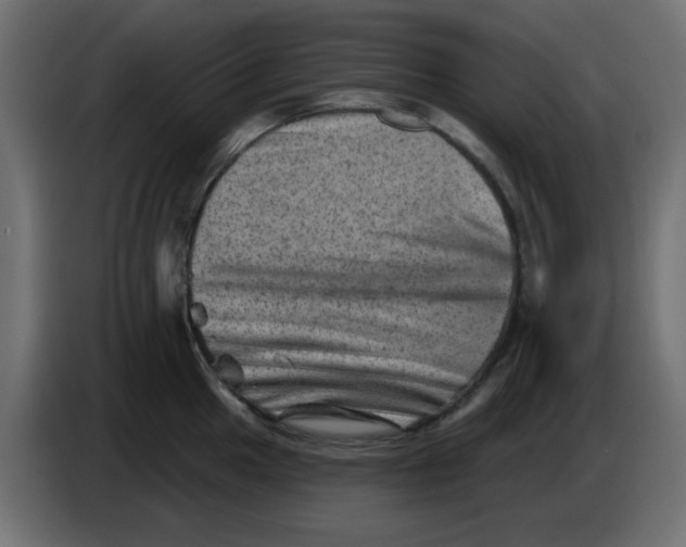 X0000083571049200703021741