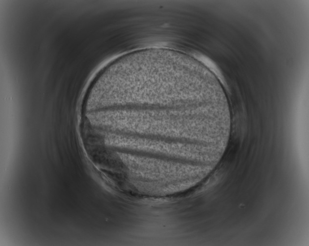 X0000083571051200703021741