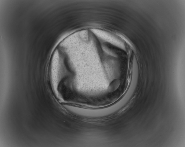 X0000083571052200703021741