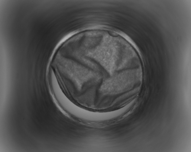 X0000083571053200703021741