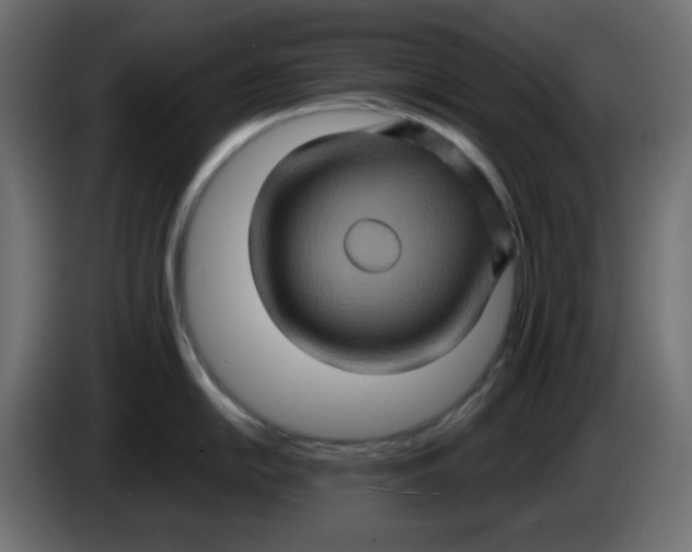 X0000083571054200703021741