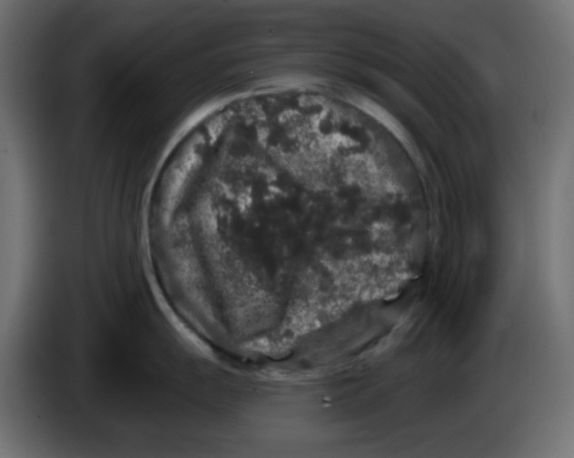 X0000083571055200703021741