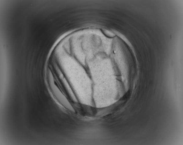 X0000083571056200703021741