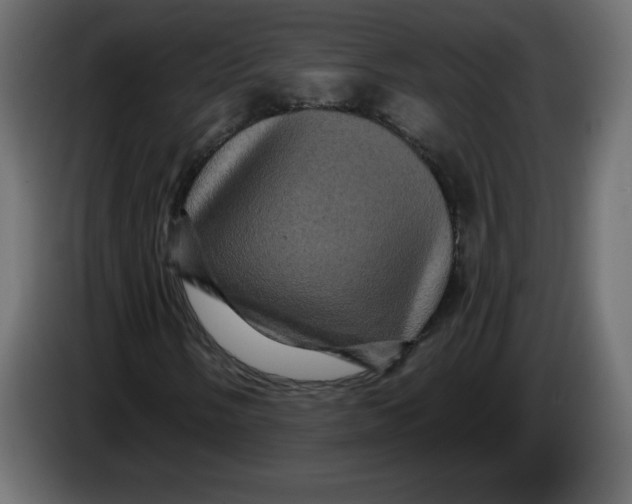 X0000083571058200703021741