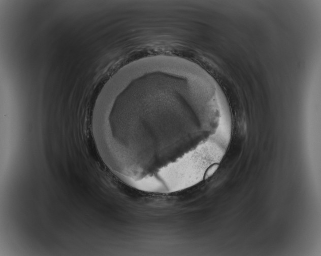 X0000083571060200703021741