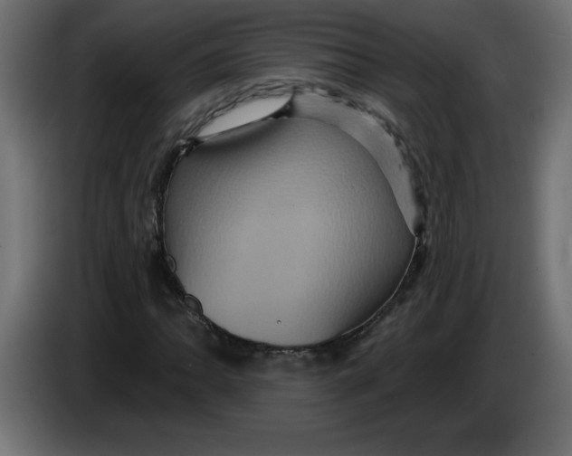 X0000083571062200703021741