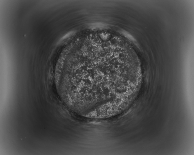 X0000083571063200703021741