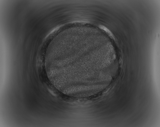X0000083571064200703021741