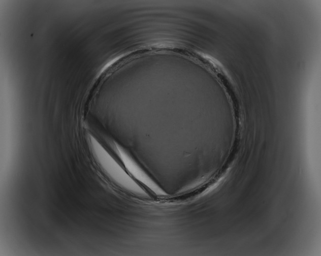 X0000083571065200703021741