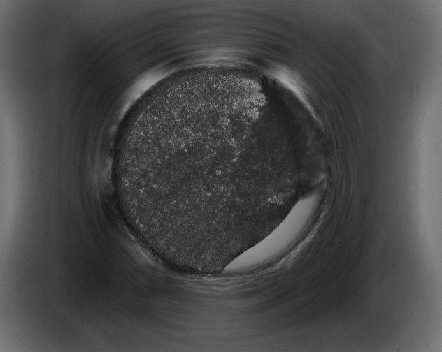 X0000083571066200703021740