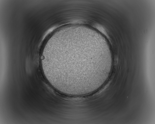 X0000083571067200703021740