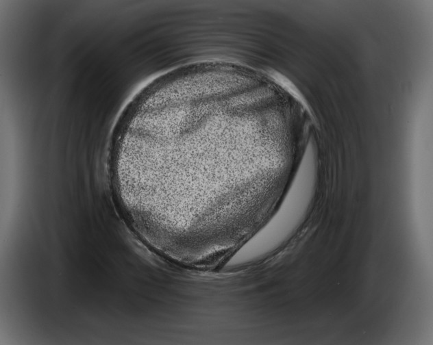 X0000083571068200703021740