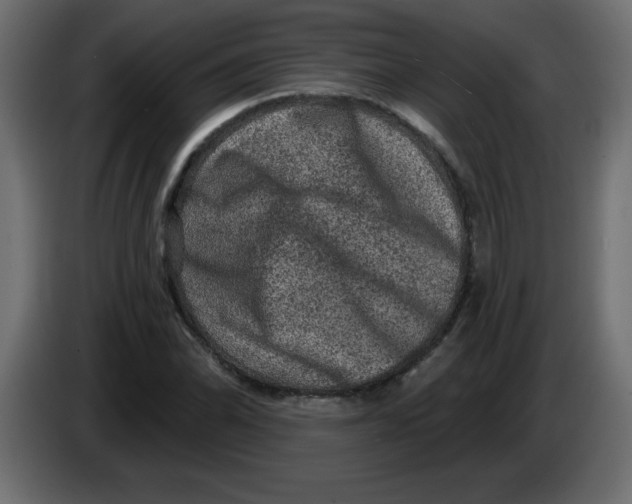 X0000083571070200703021740