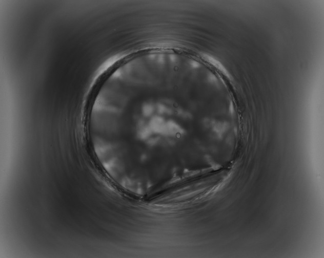 X0000083571071200703021740
