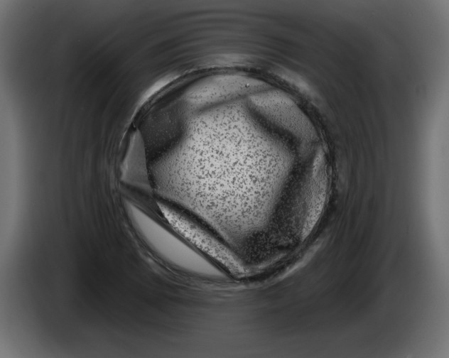 X0000083571073200703021740