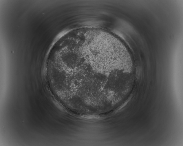 X0000083571074200703021740