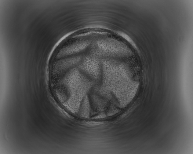 X0000083571076200703021740