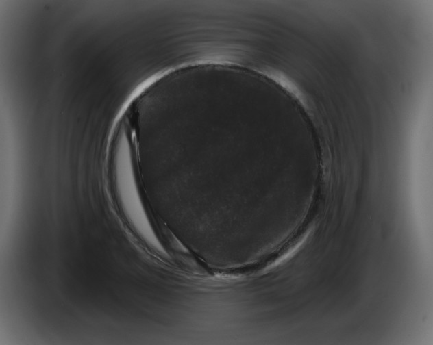 X0000083571077200703021740