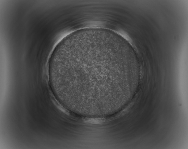 X0000083571078200703021740