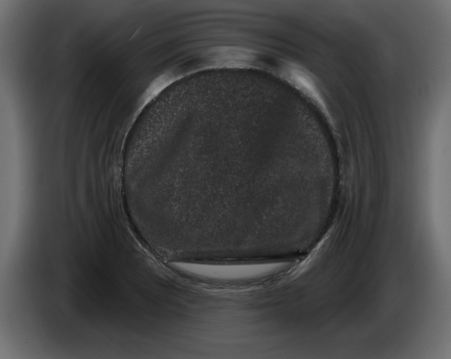 X0000083571081200703021740