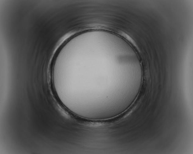 X0000083571082200703021740