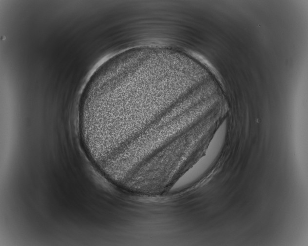 X0000083571083200703021740