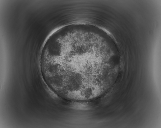 X0000083571086200703021740