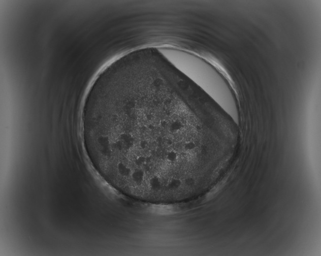 X0000083571088200703021740