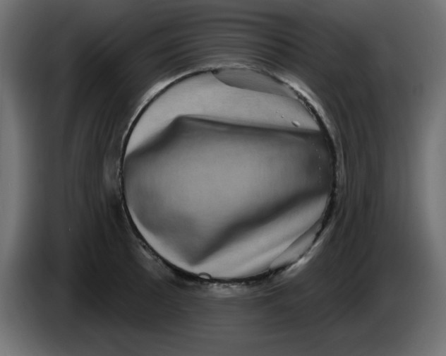 X0000083571089200703021740