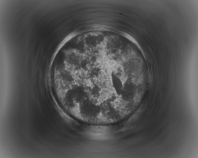 X0000083571090200703021740