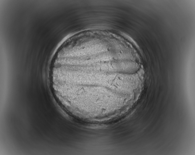 X0000083571091200703021740