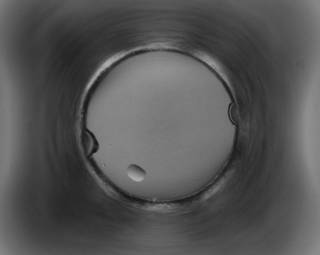 X0000083571093200703021740