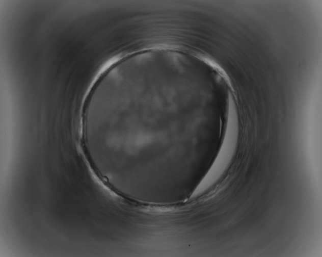 X0000083571095200703021740