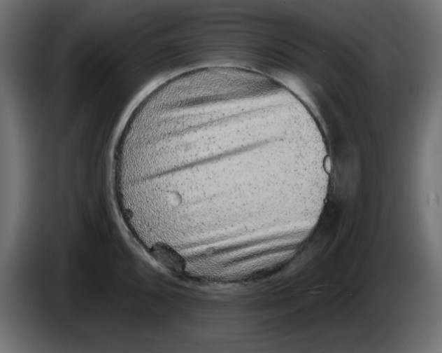 X0000083571096200703021740