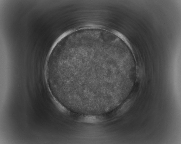 X0000083571098200703021740