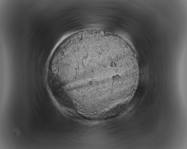 X0000083571099200703021740