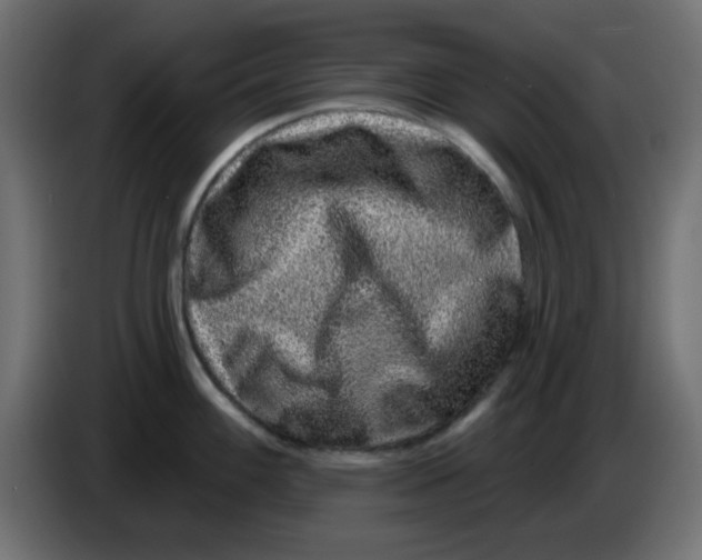 X0000083571100200703021740