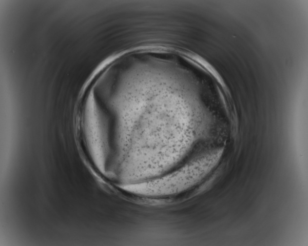 X0000083571101200703021740