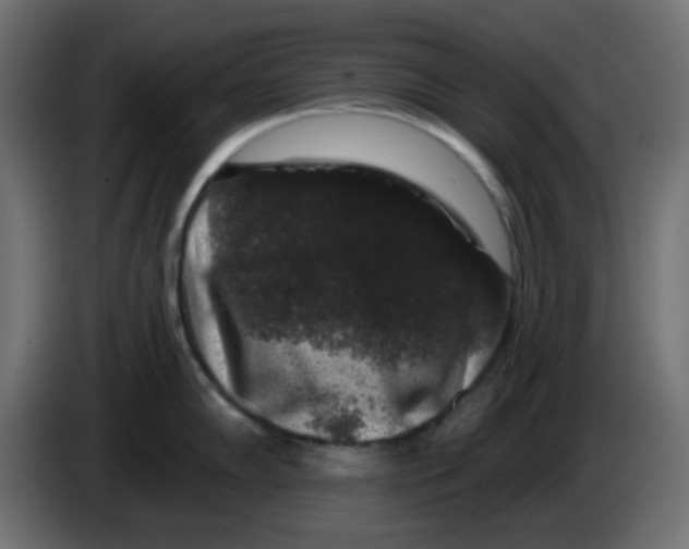 X0000083571102200703021740