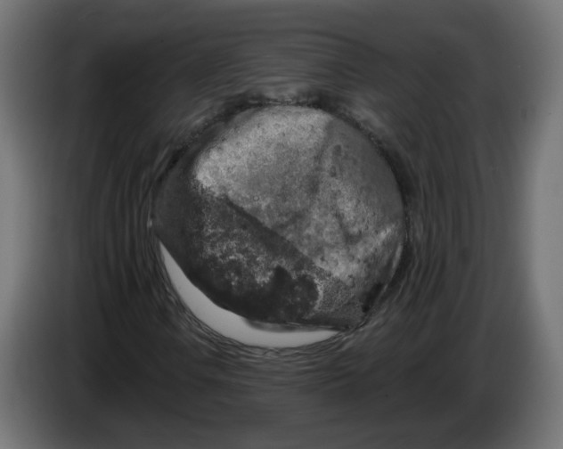 X0000083571106200703021739