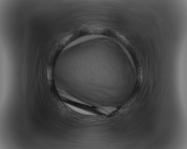 X0000083571108200703021739