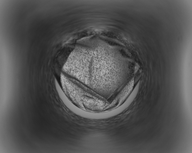 X0000083571109200703021739