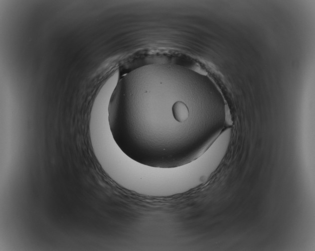 X0000083571110200703021739