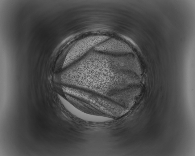 X0000083571112200703021739