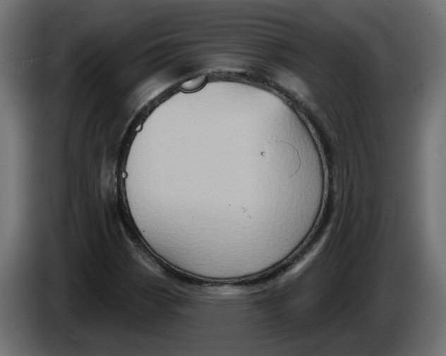 X0000083571113200703021739