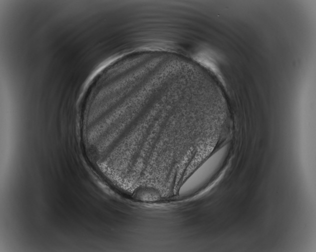 X0000083571114200703021739