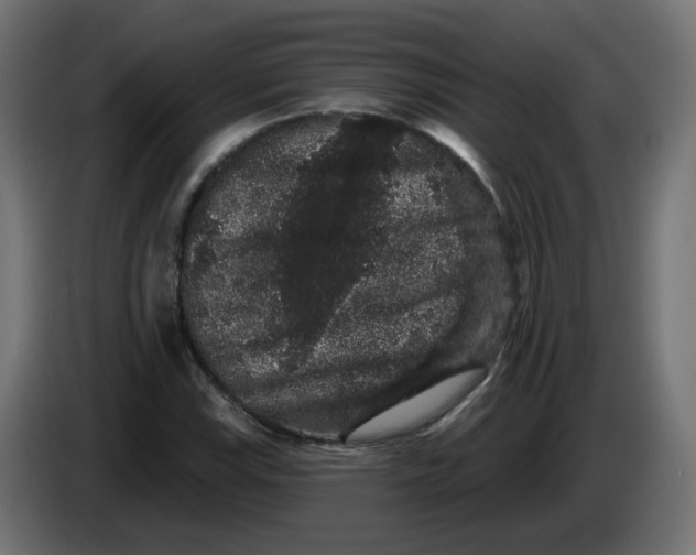 X0000083571115200703021739