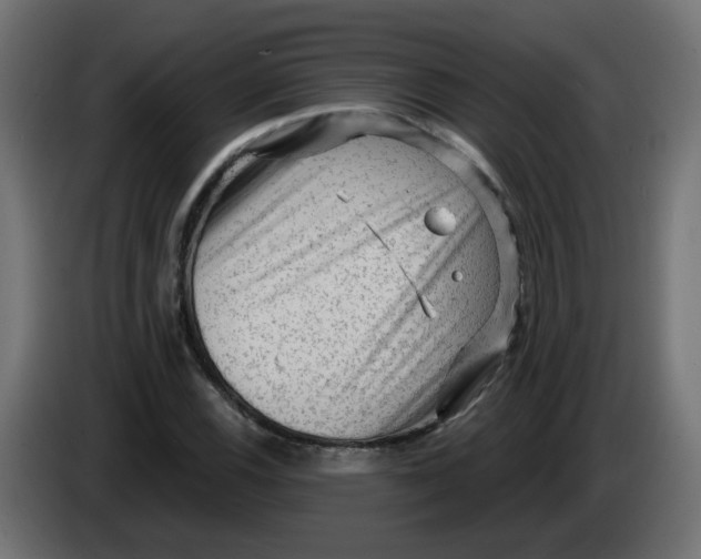 X0000083571116200703021739