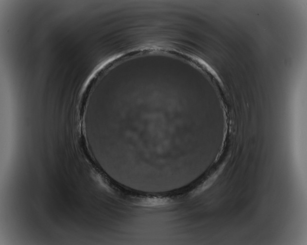 X0000083571117200703021739